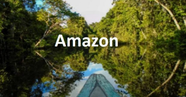 Прогноз акций Amazon на 2022 год